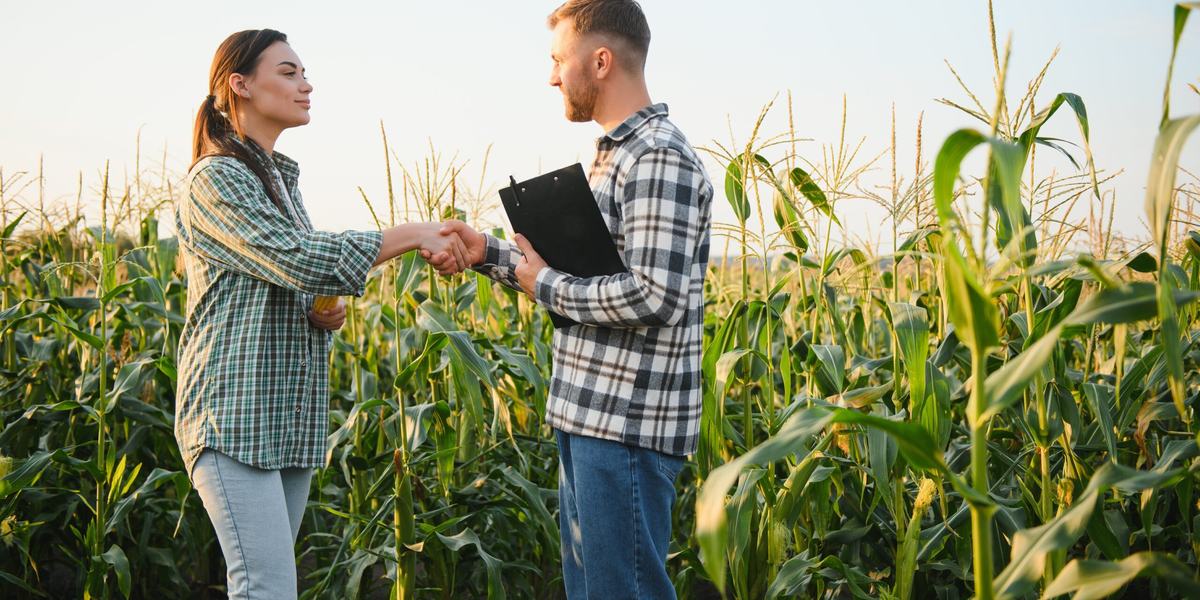 Seguro agrícola: um mercado em expansão para corretores